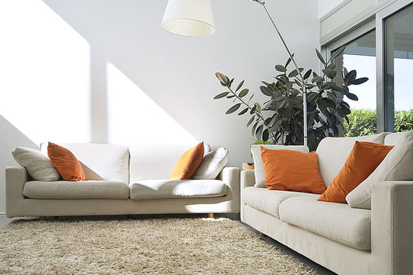 Cost-effective Professional Upholstery Cleaning Se