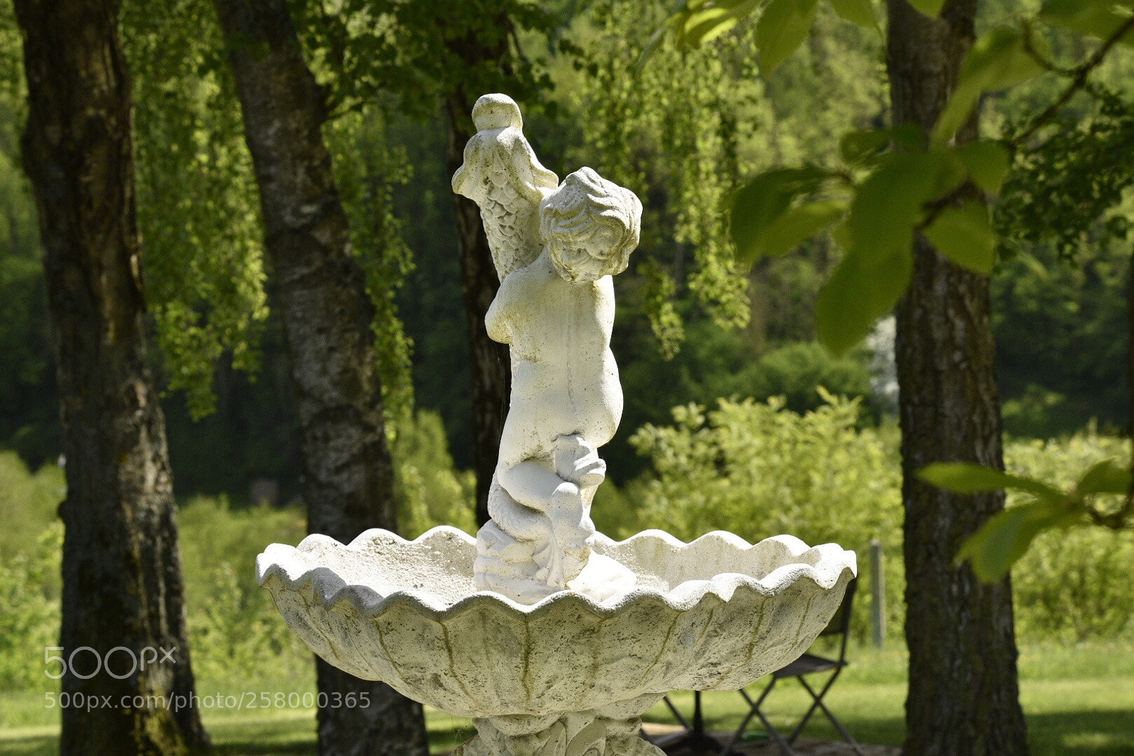 Nikon D750 sample photo. Untitled photography