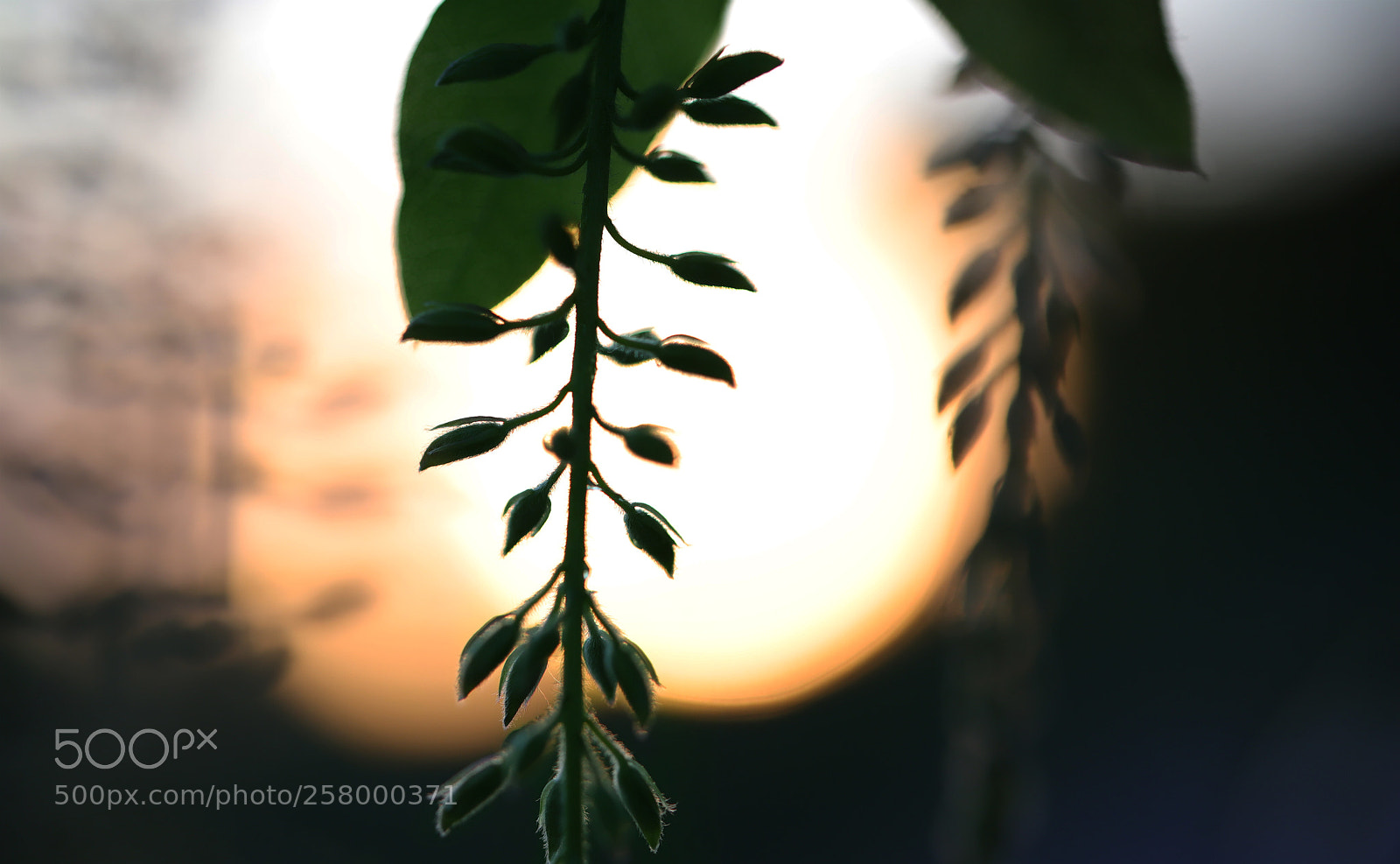 Canon EOS 6D Mark II sample photo. Sunset photography