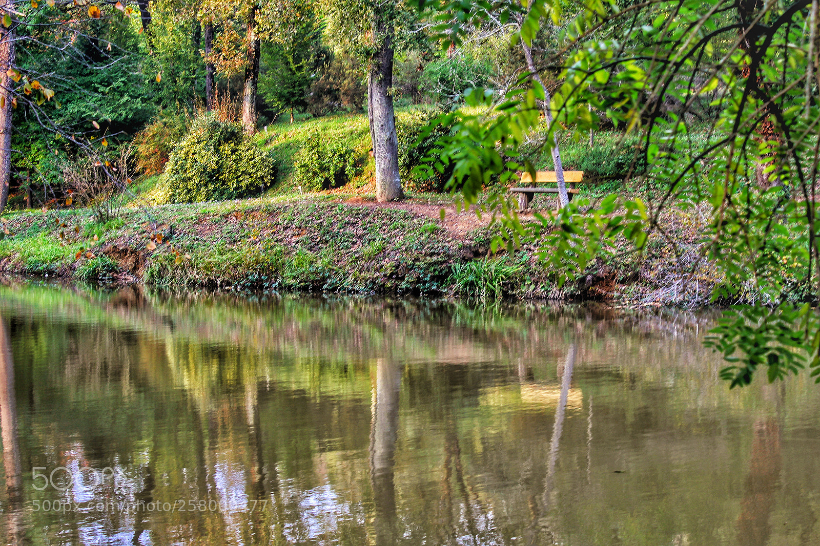 Canon EOS 600D (Rebel EOS T3i / EOS Kiss X5) sample photo. A lake inside forest photography