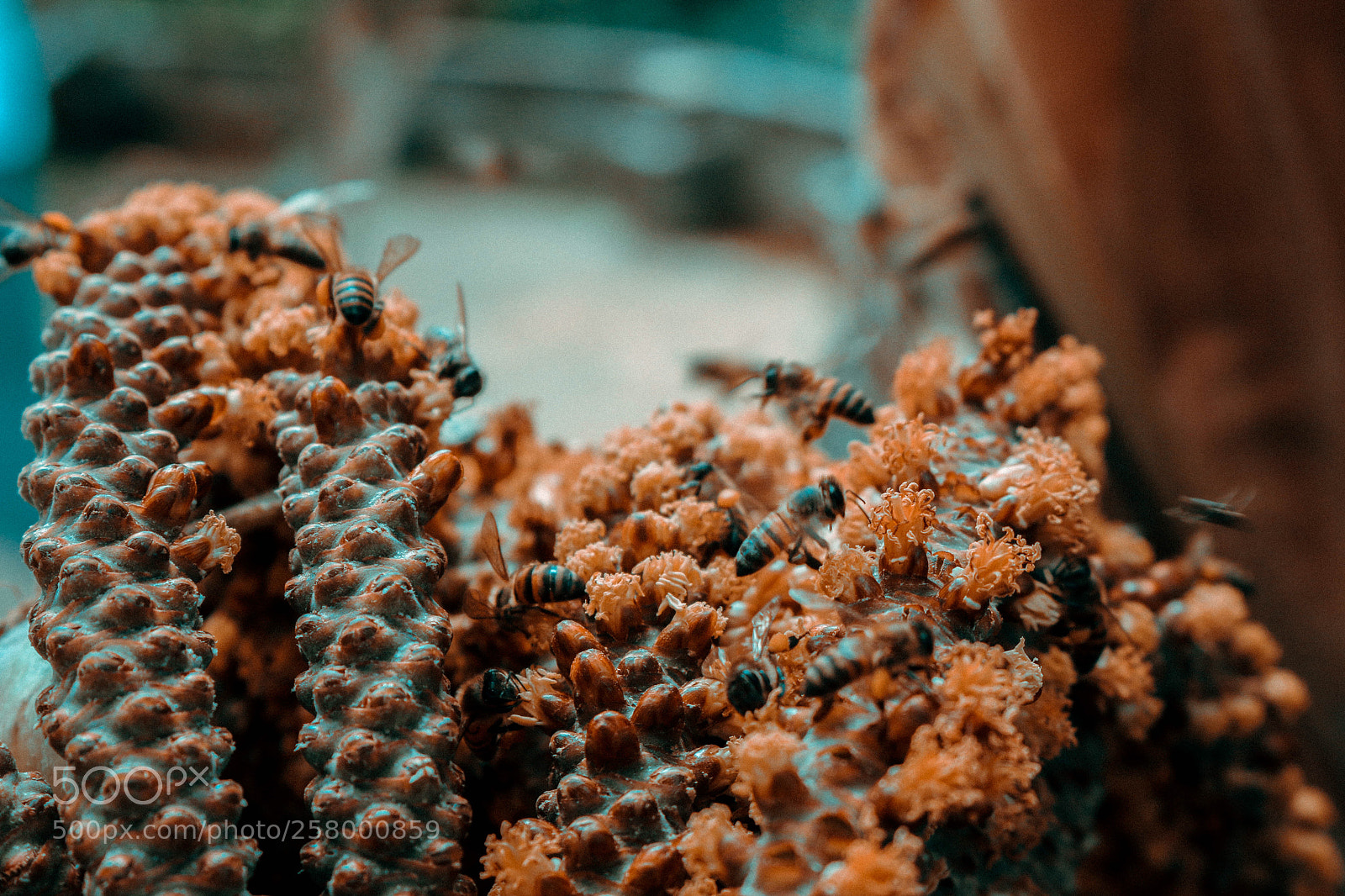 Canon EOS 70D sample photo. ? photography