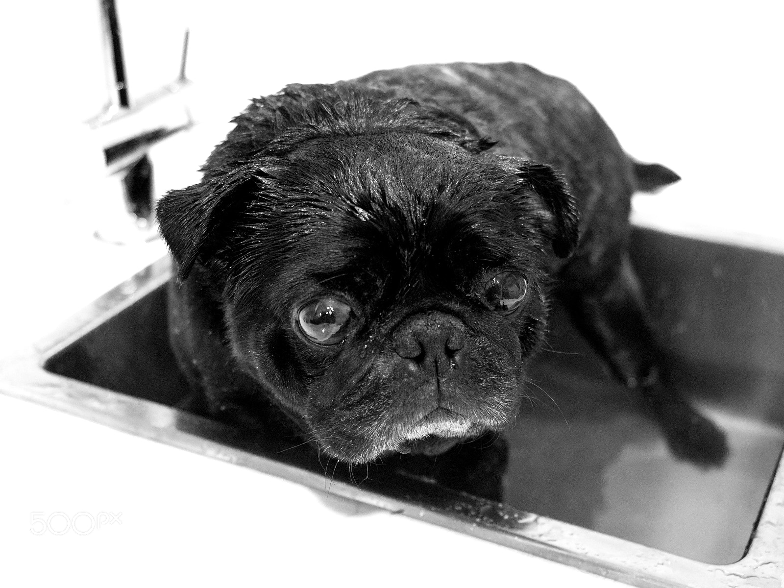 Olympus OM-D E-M1 sample photo. No likey bath time photography