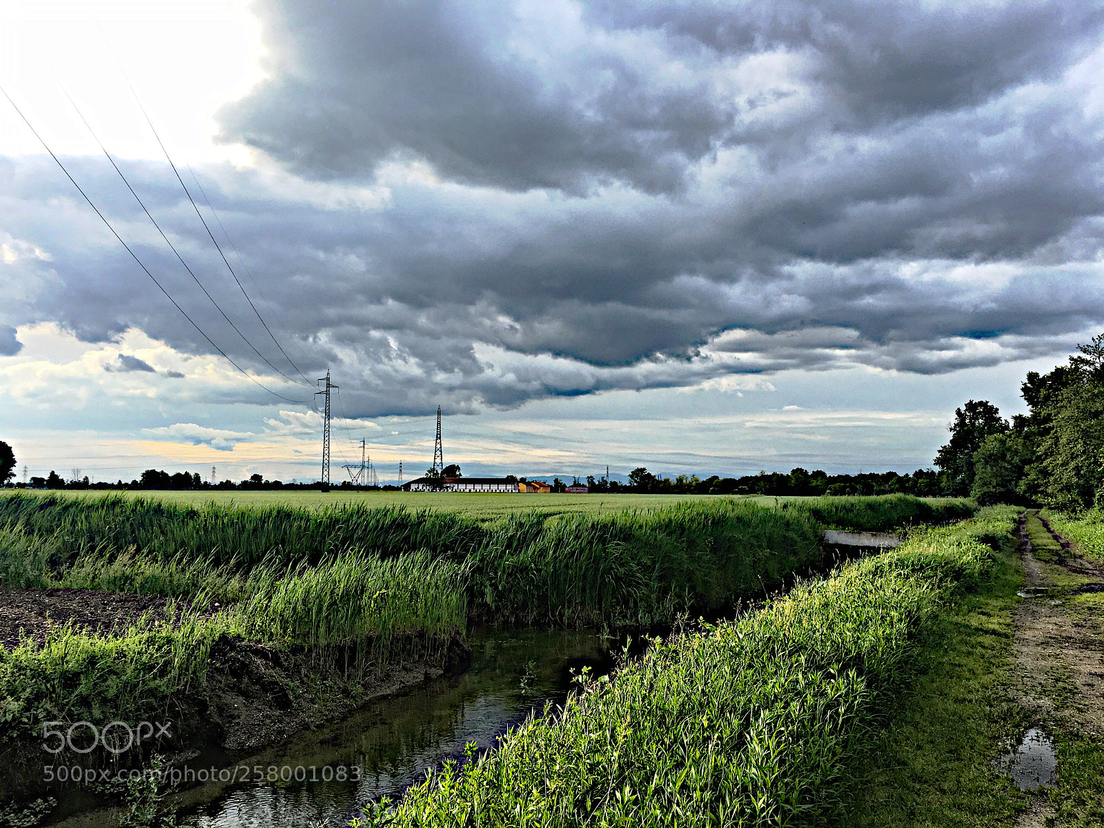 Apple iPhone 6s sample photo. •tempesta• photography