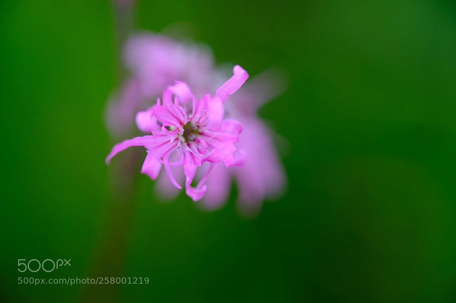 Fujifilm X-T2 sample photo. Untitled photography