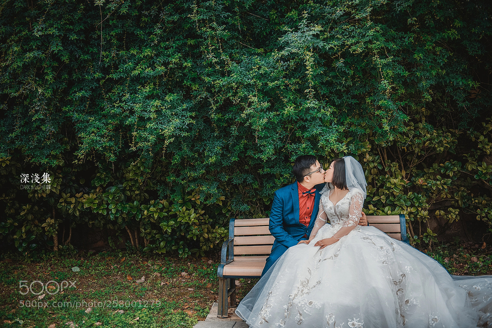 Nikon D750 sample photo. Untitled photography