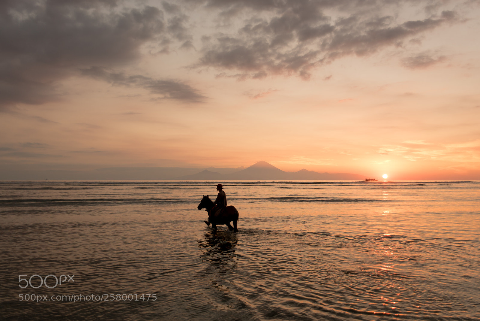 Nikon D750 sample photo. Sunset horse riding photography