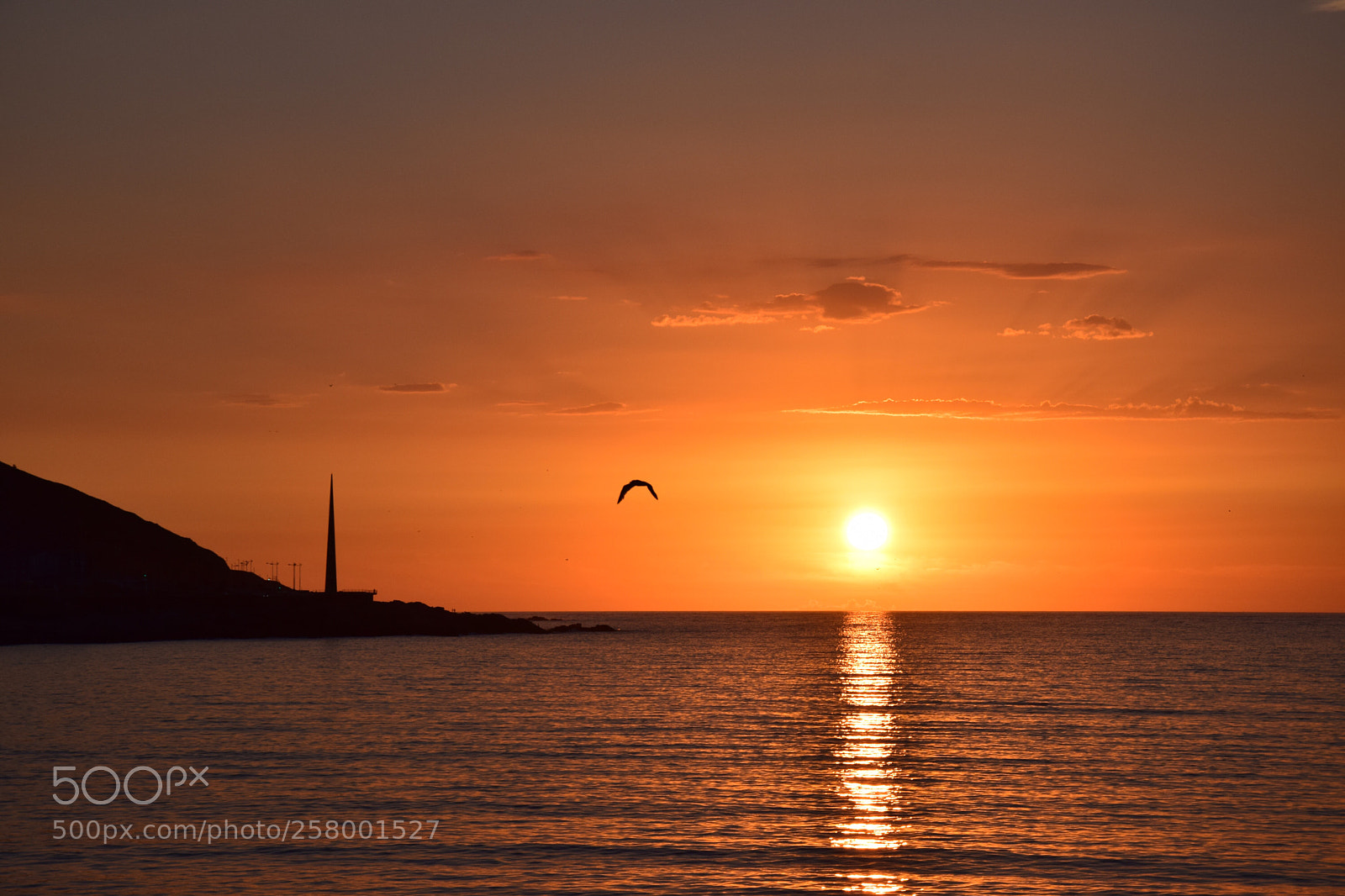 Nikon D5300 sample photo. Sun  photography