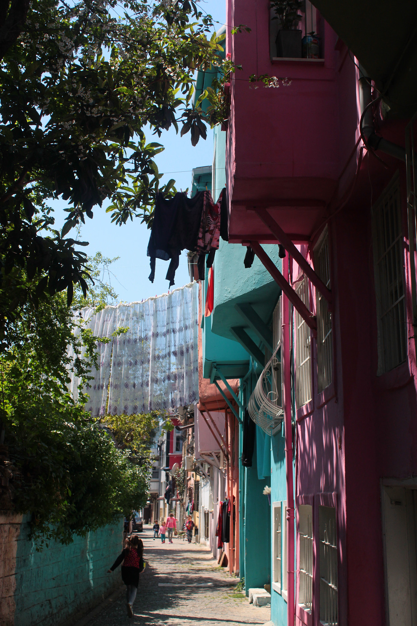 Canon EOS 500D (EOS Rebel T1i / EOS Kiss X3) sample photo. Colorful photography