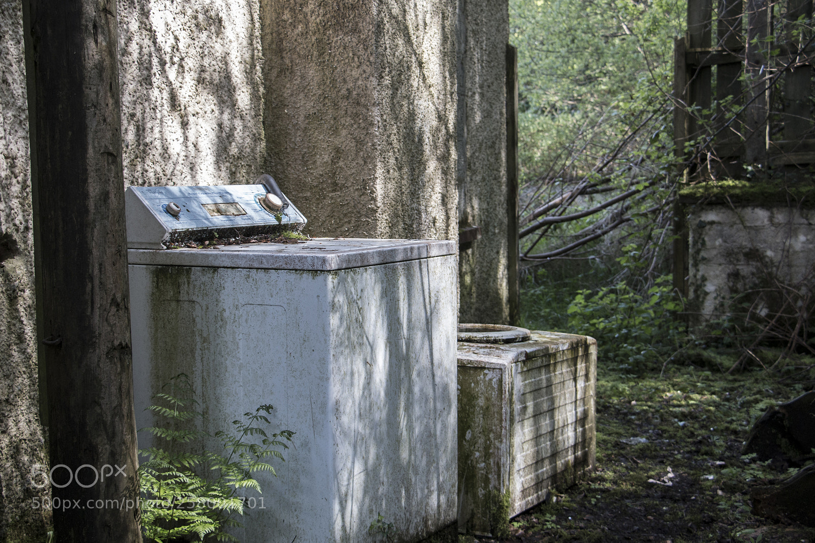 Canon EOS 70D sample photo. Washed out green photography