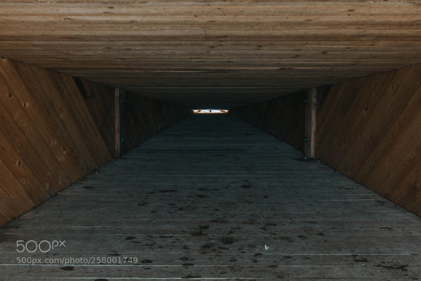 Nikon D7100 sample photo. Pov photography