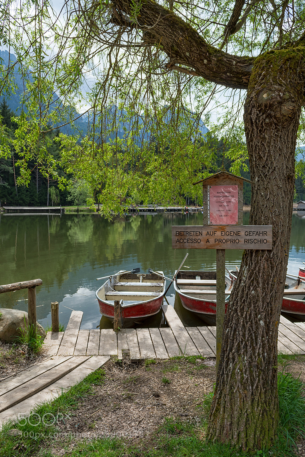 Nikon D500 sample photo. Laghetto di fi in photography