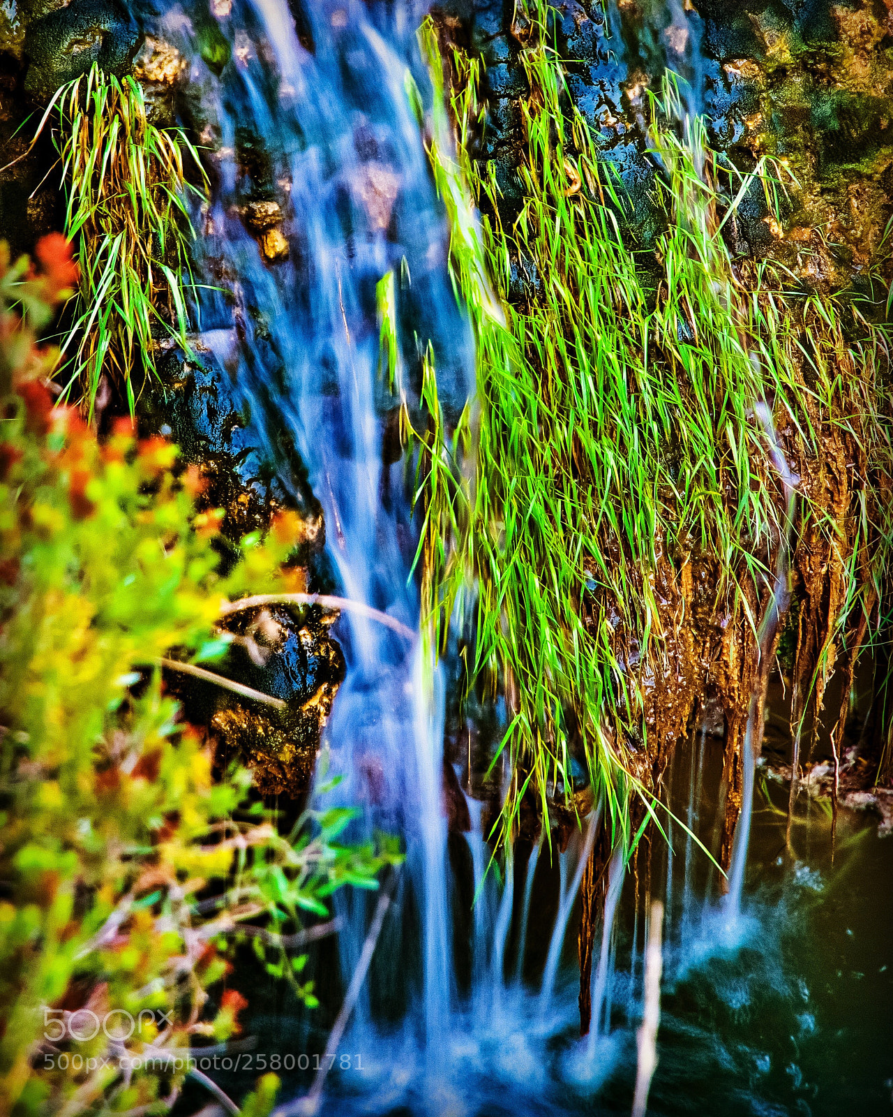 Nikon D7000 sample photo. Lichens photography