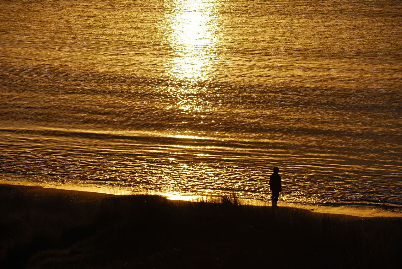 Nikon D80 sample photo. Stranger on the shore photography