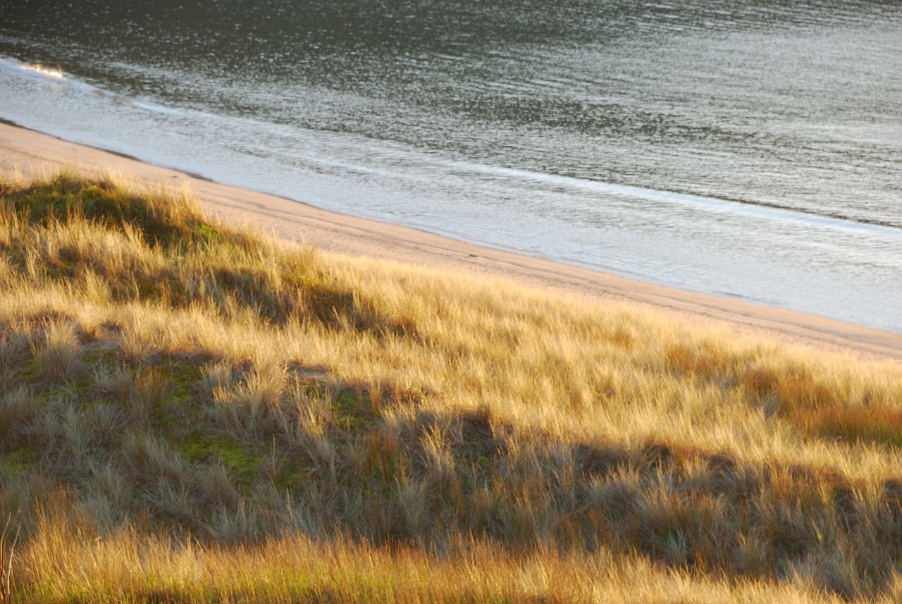 Nikon D80 sample photo. Sand dunes at dawn photography
