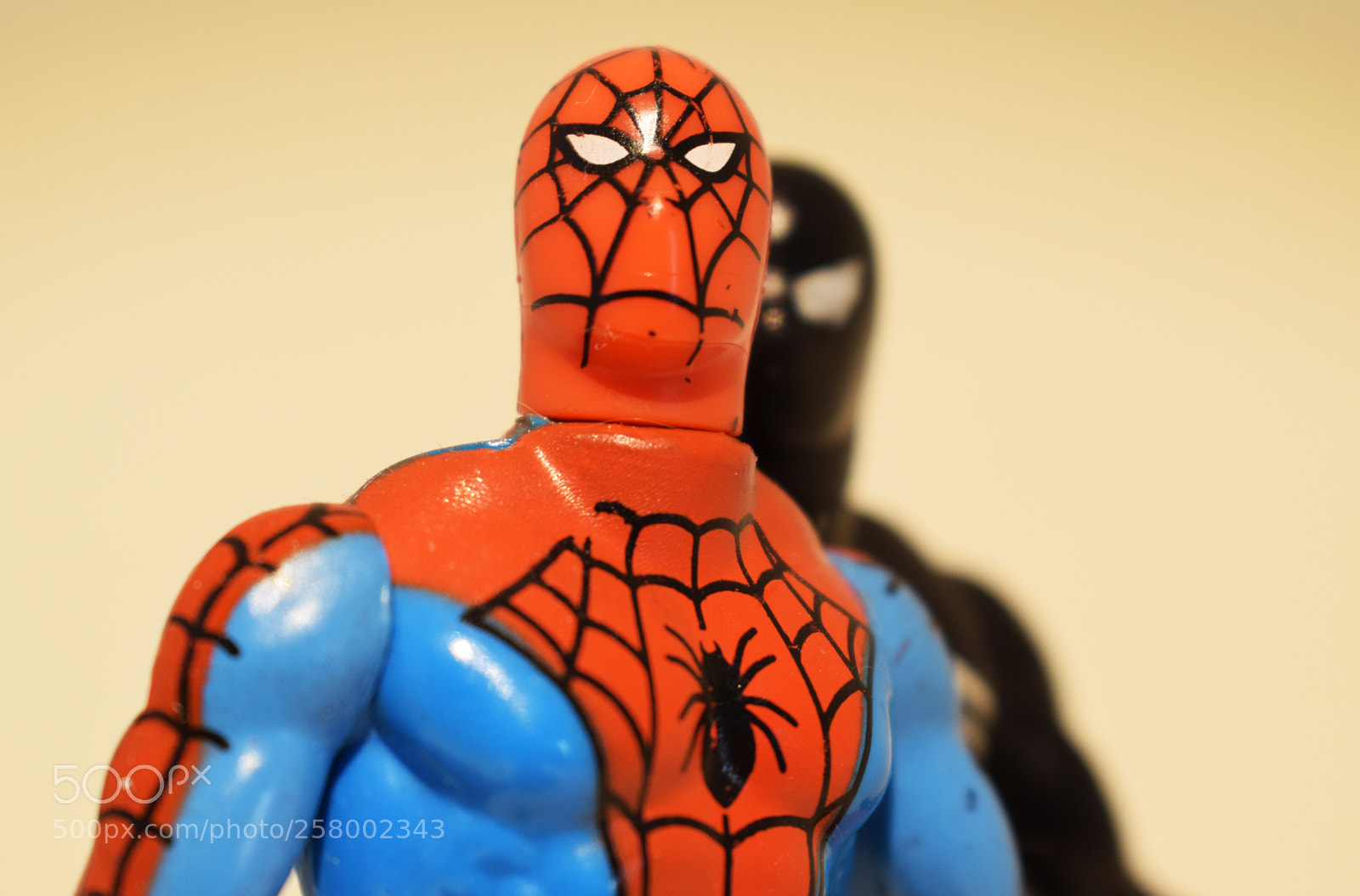 Nikon D3300 sample photo. Dsc photography