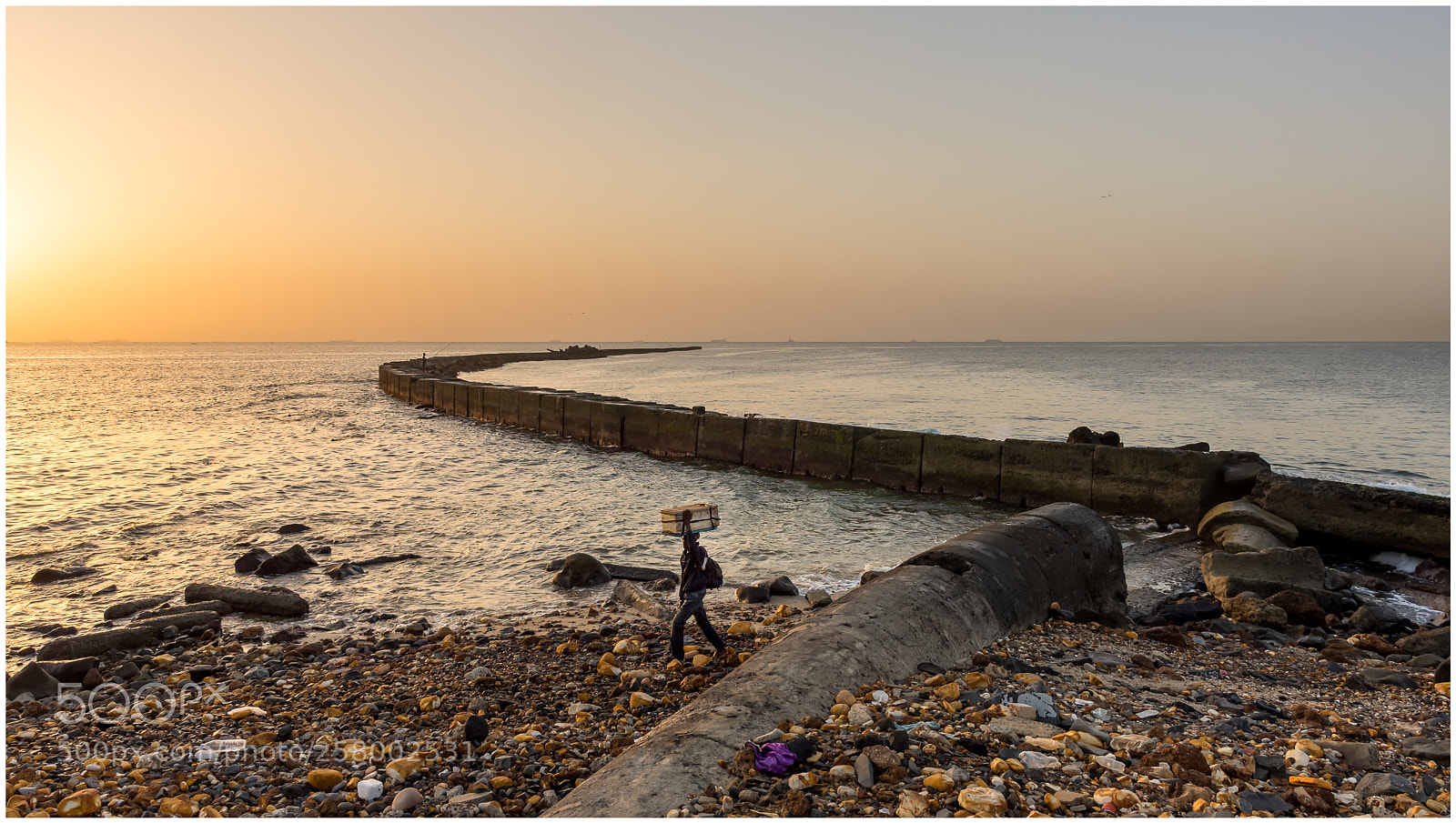Nikon D7200 sample photo. Early catch photography