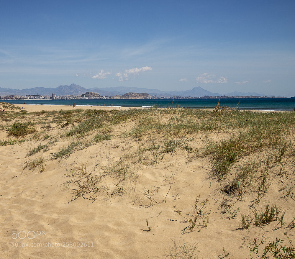 Canon EOS 6D Mark II sample photo. Beach photography