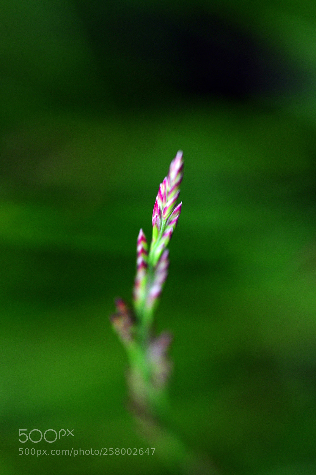 Nikon D90 sample photo. Minimalisme photography