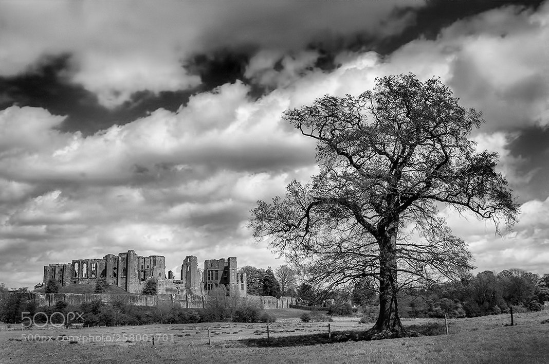 Nikon D300 sample photo. Kenilworth castle photography
