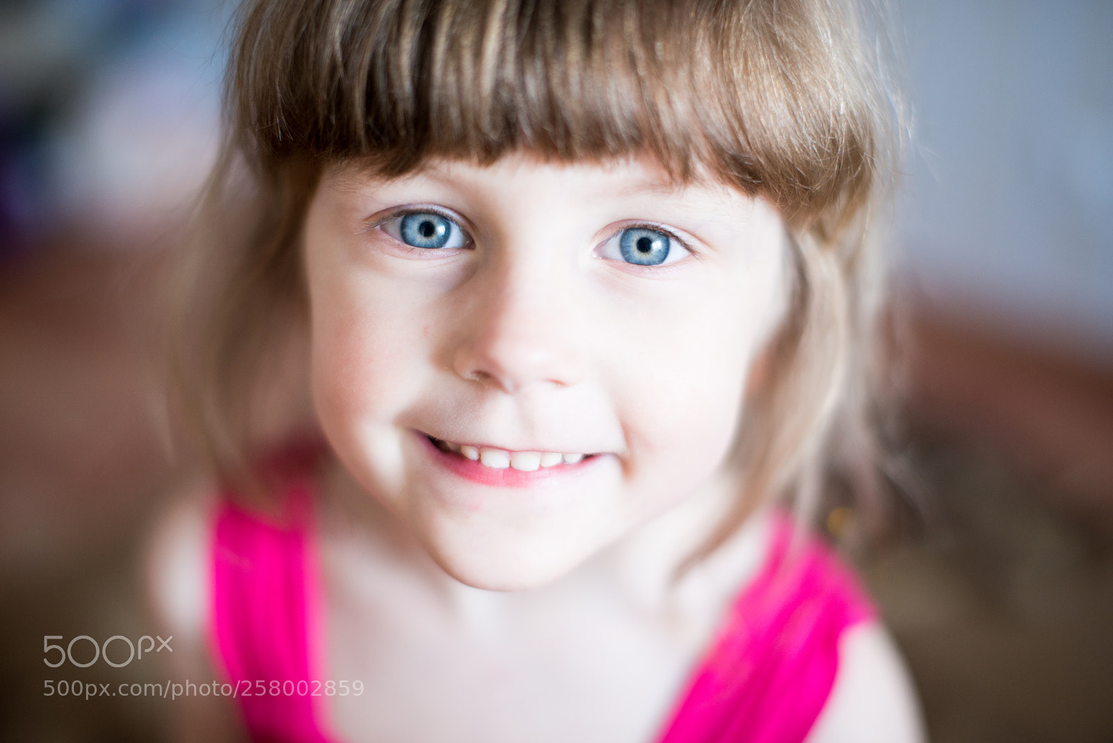 Nikon D800E sample photo. Untitled photography