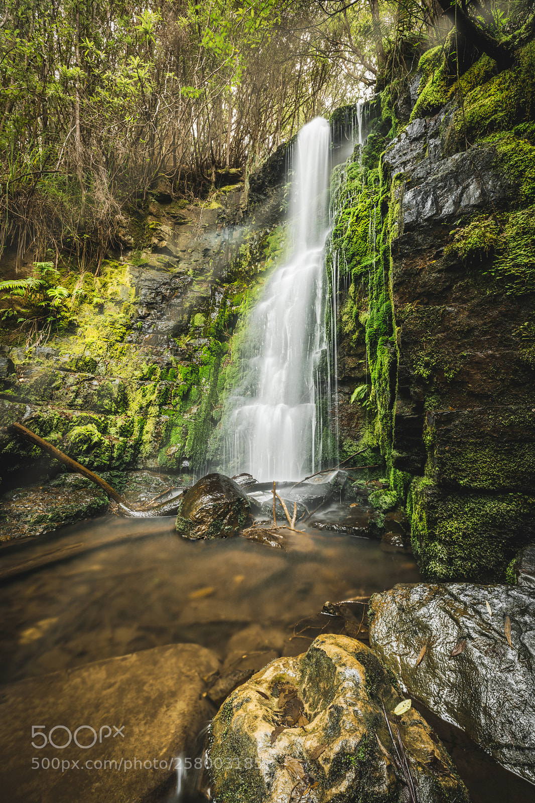 Nikon D850 sample photo. O'gradys falls photography