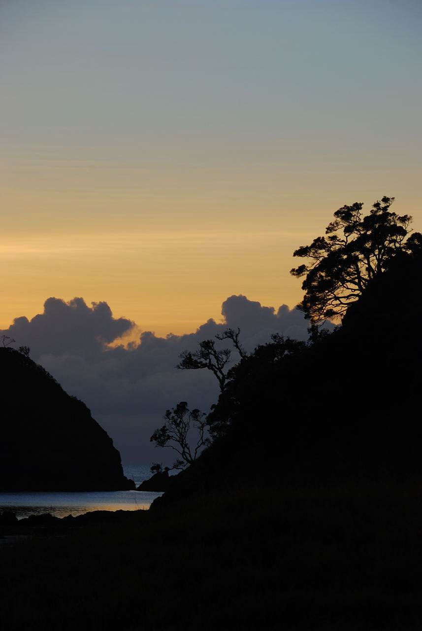 Nikon D80 sample photo. Bay of islands, northland, nz photography