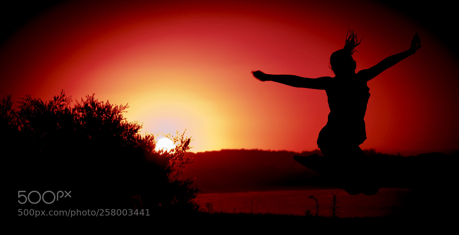 Canon EOS 5D Mark II sample photo. Untitled photography