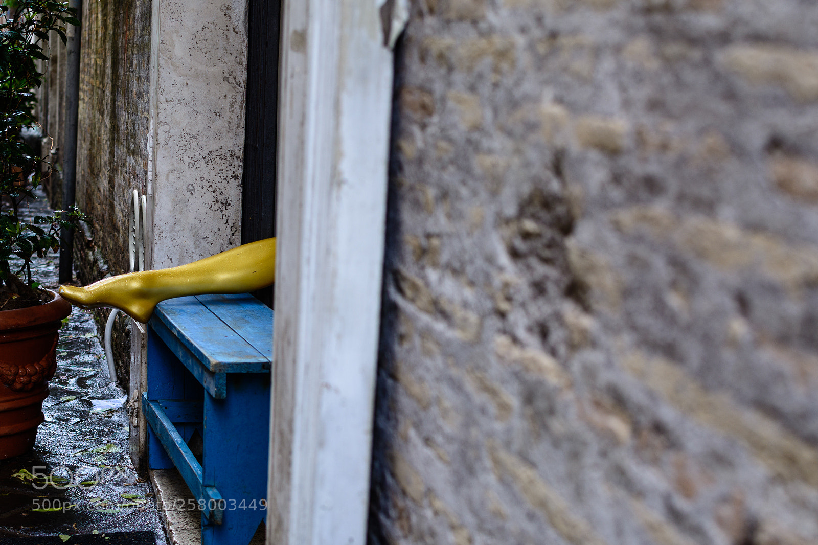 Nikon D7100 sample photo. Checking the weather photography