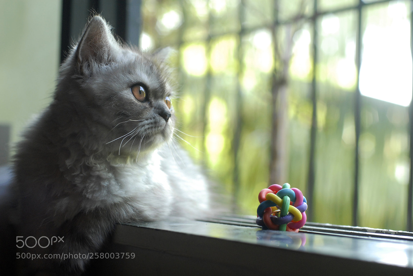 Nikon D200 sample photo. Keeping a watch ! photography