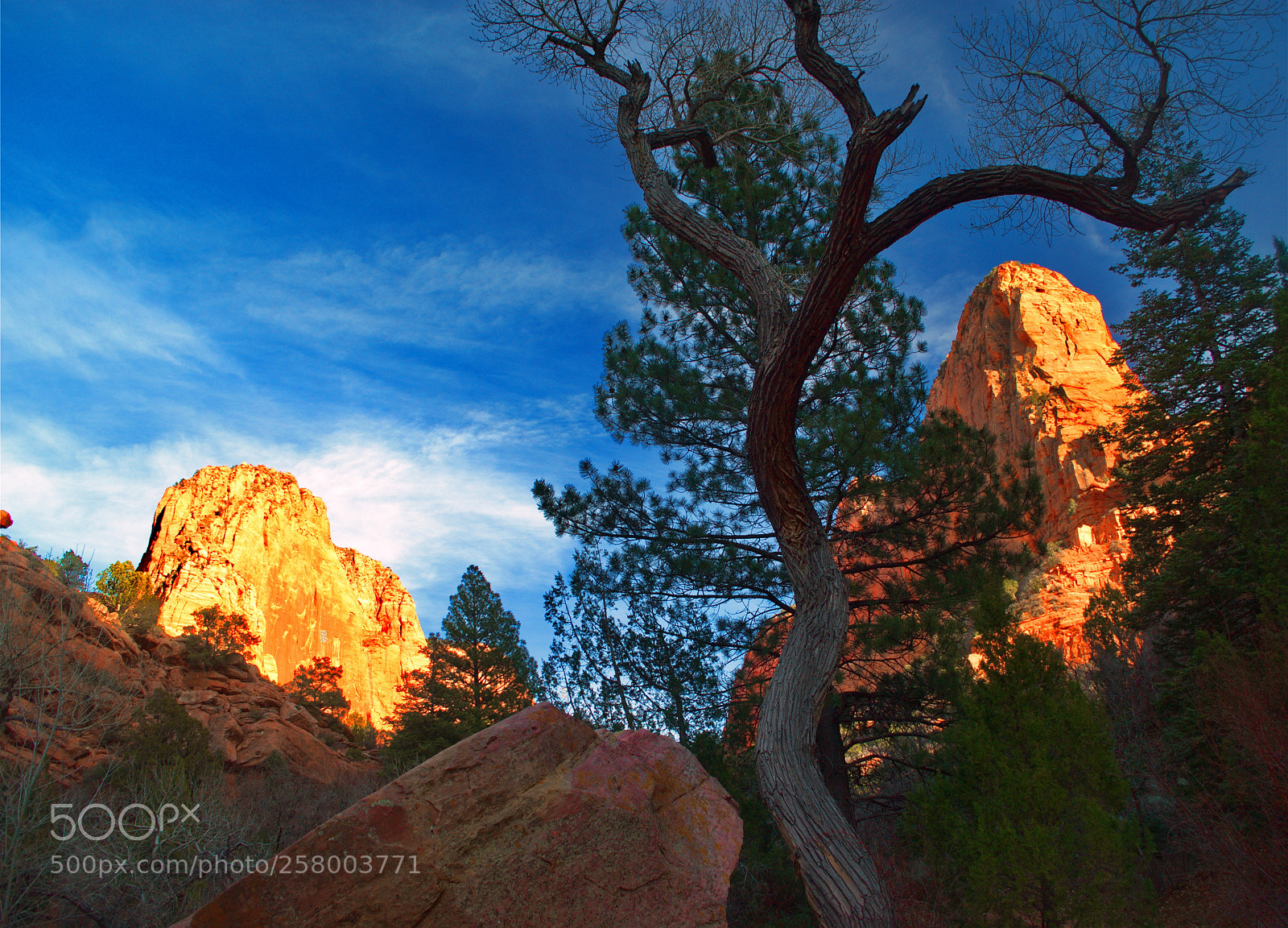 Nikon D3000 sample photo. Zions photography
