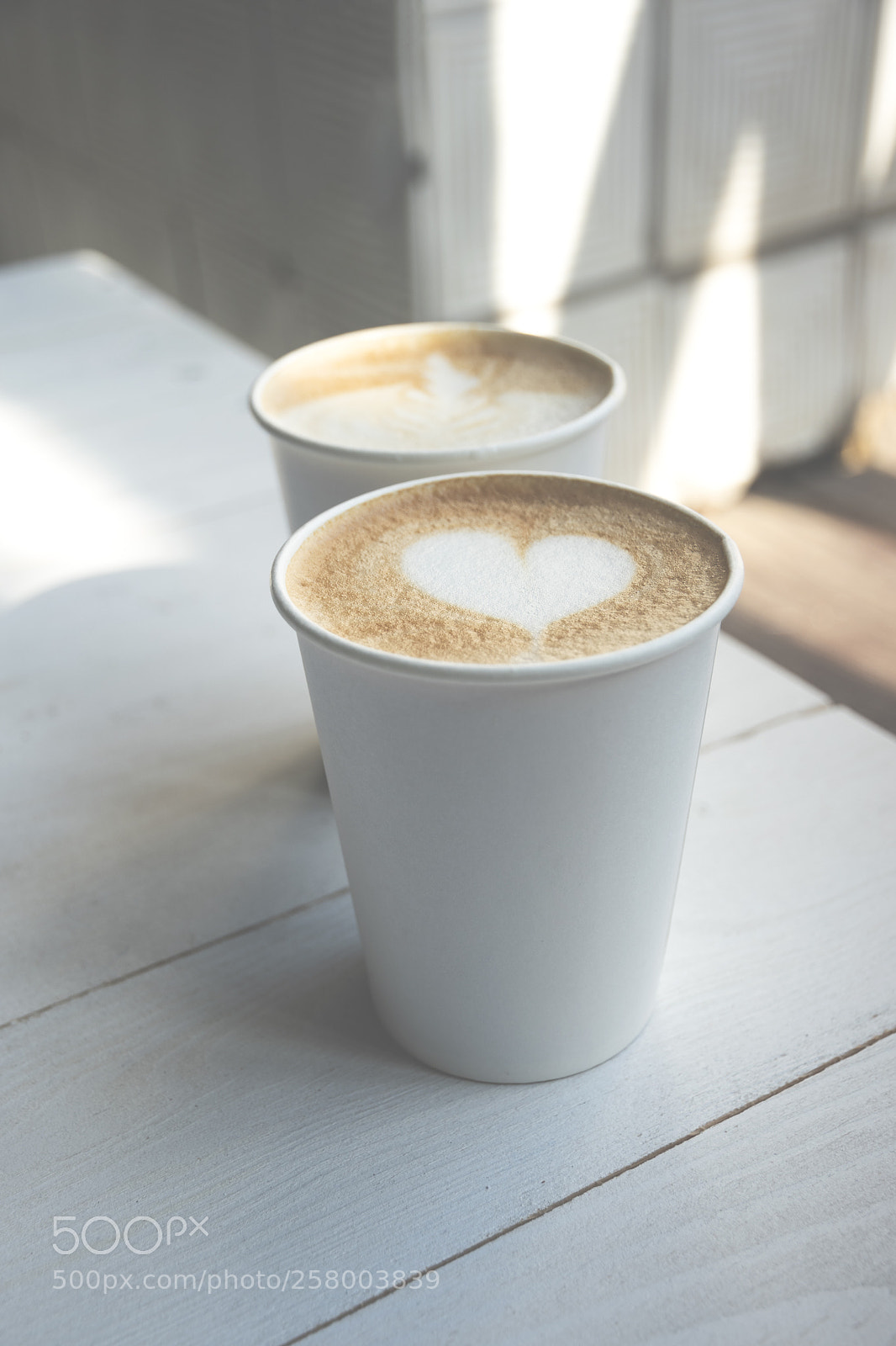 Nikon D5500 sample photo. Two white paper cups photography