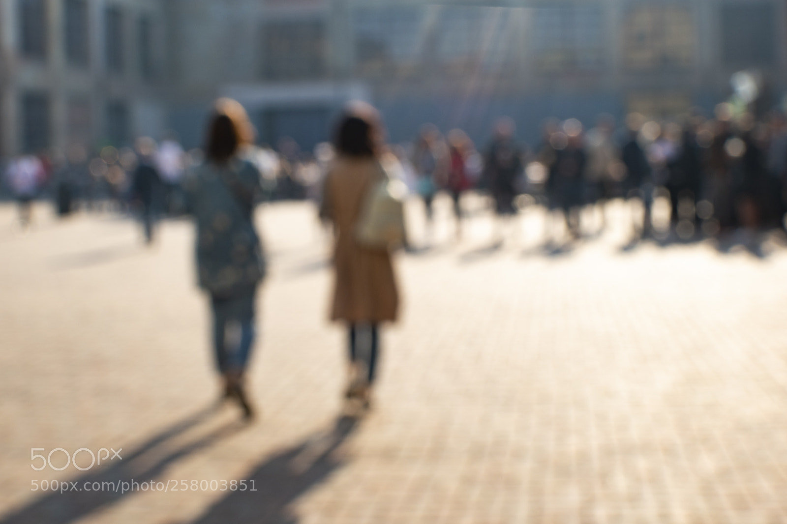 Nikon D5500 sample photo. Blurred background with two photography