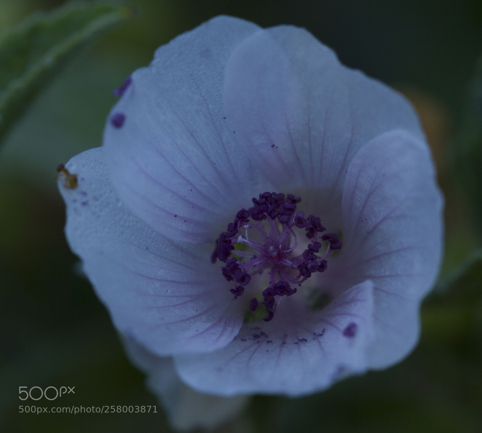 Canon EOS 7D sample photo. Nice view photography
