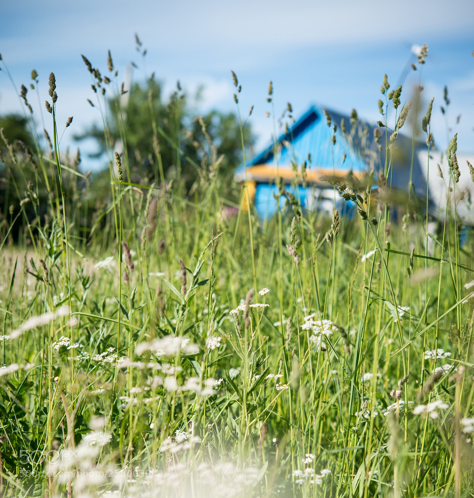 Nikon D800E sample photo. Untitled photography
