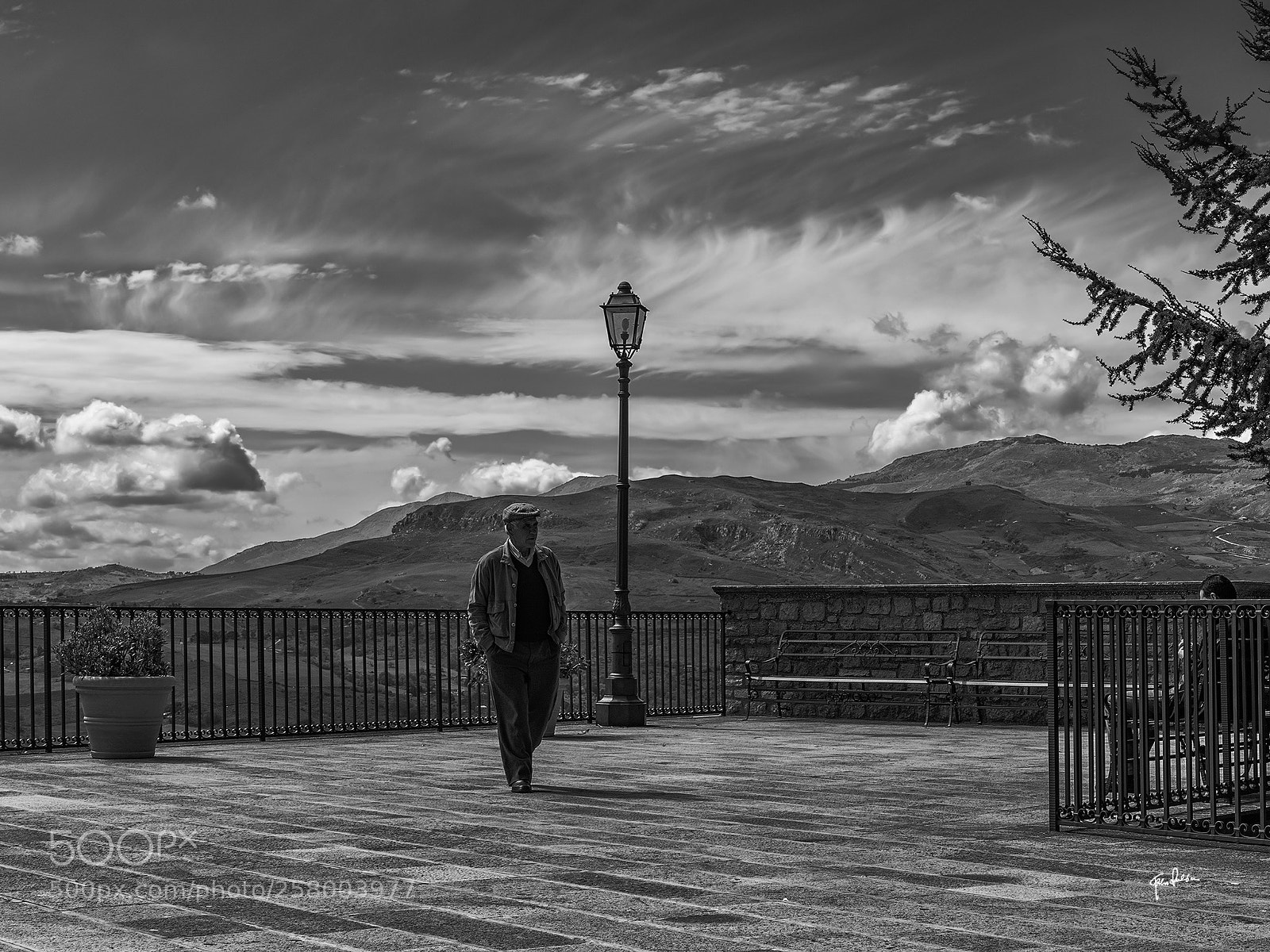Nikon D800 sample photo. Walk to the belvedere photography