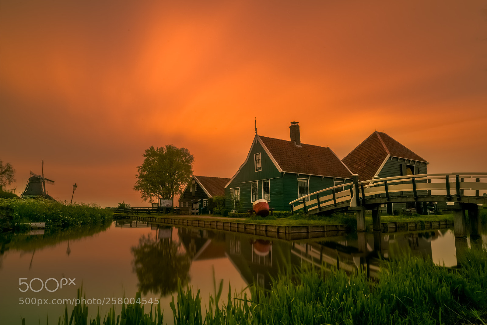 Nikon D810 sample photo. Evening silent photography