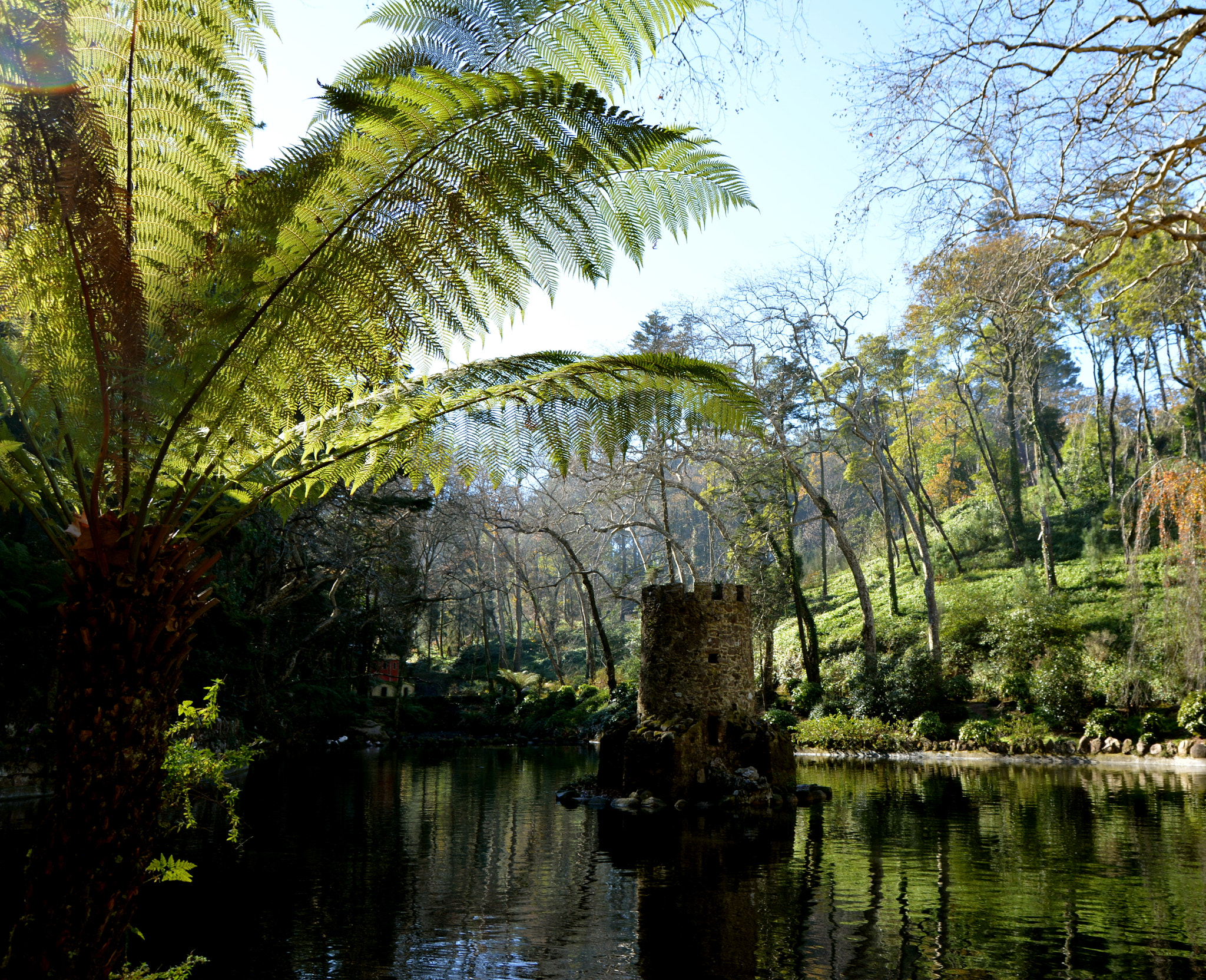 Nikon D5200 sample photo. A pond in sintra photography