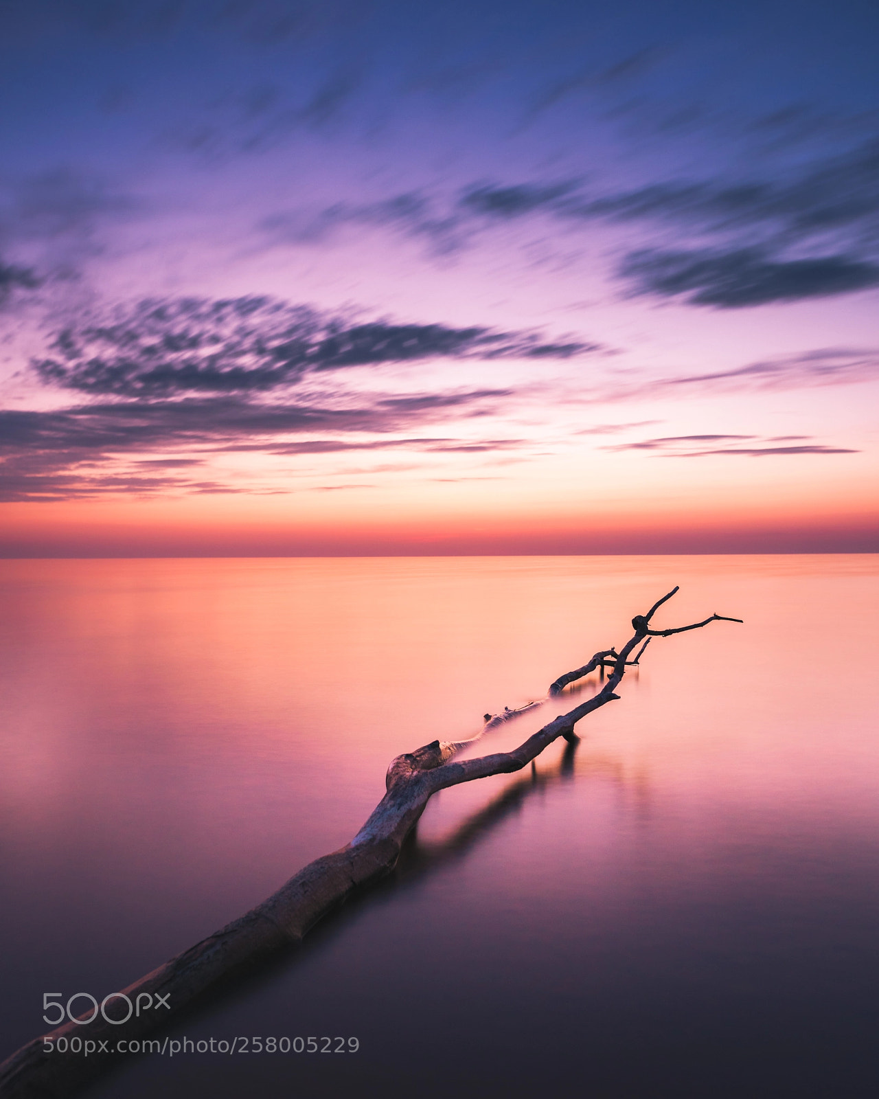 Sony a7R III sample photo. Serenity photography