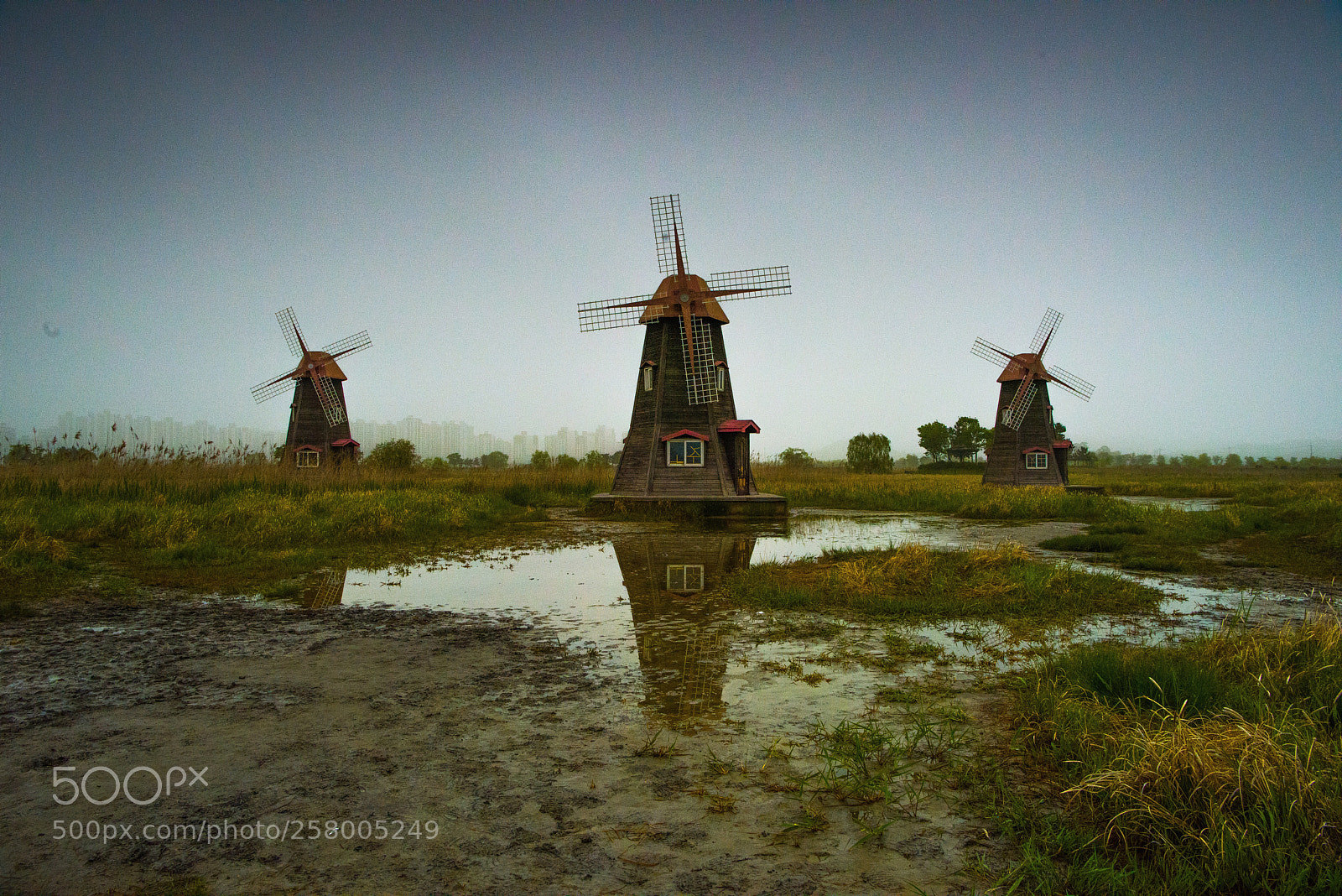 Nikon D810 sample photo. Wetlands photography