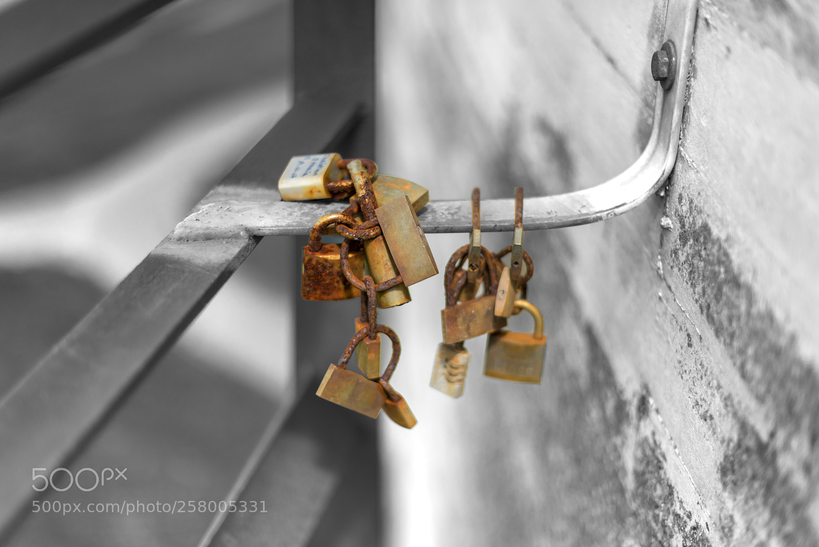 Nikon D810 sample photo. Padlocks. photography
