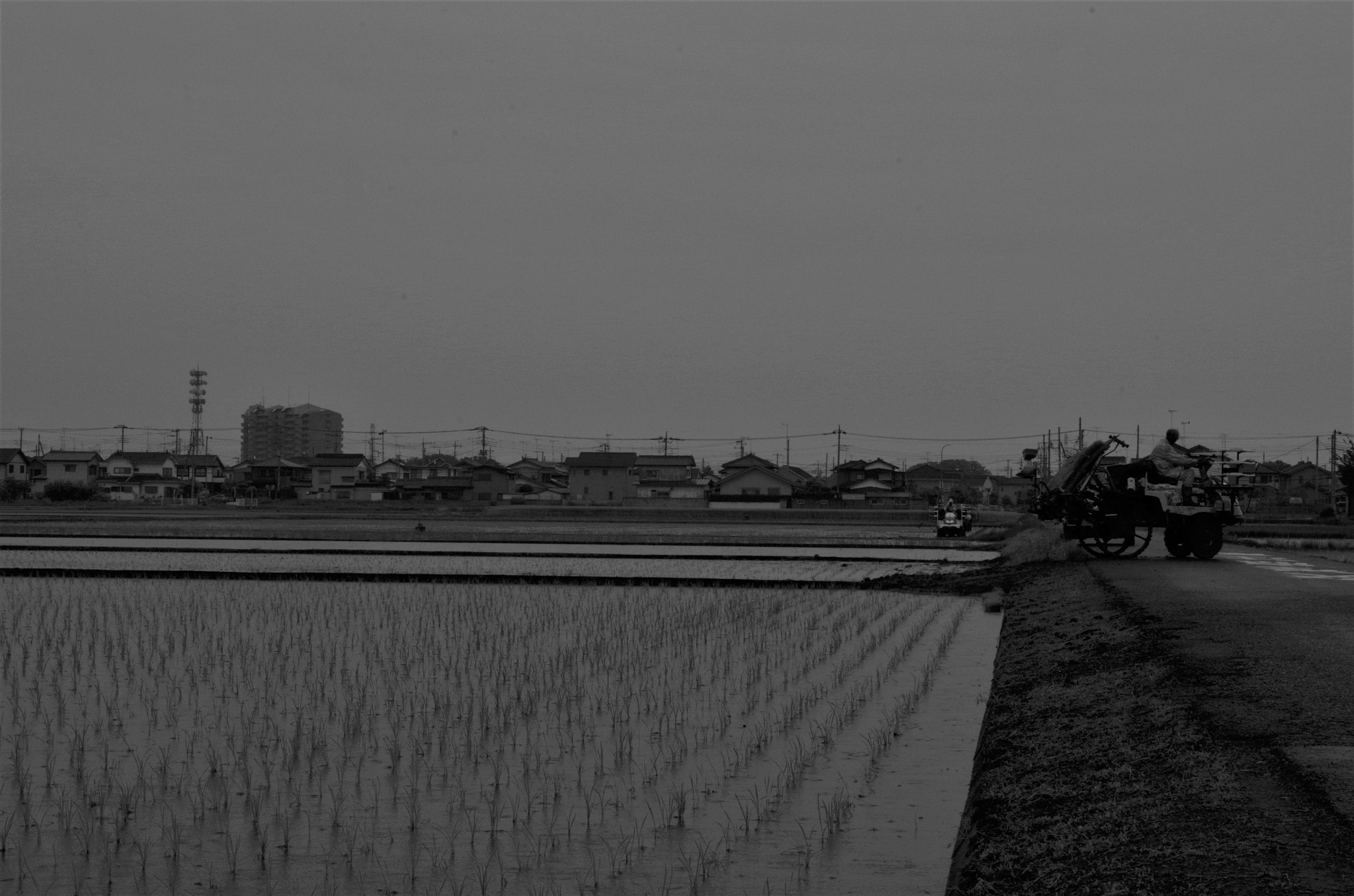 smc PENTAX-DA L 18-55mm F3.5-5.6 sample photo. Fertile feering photography