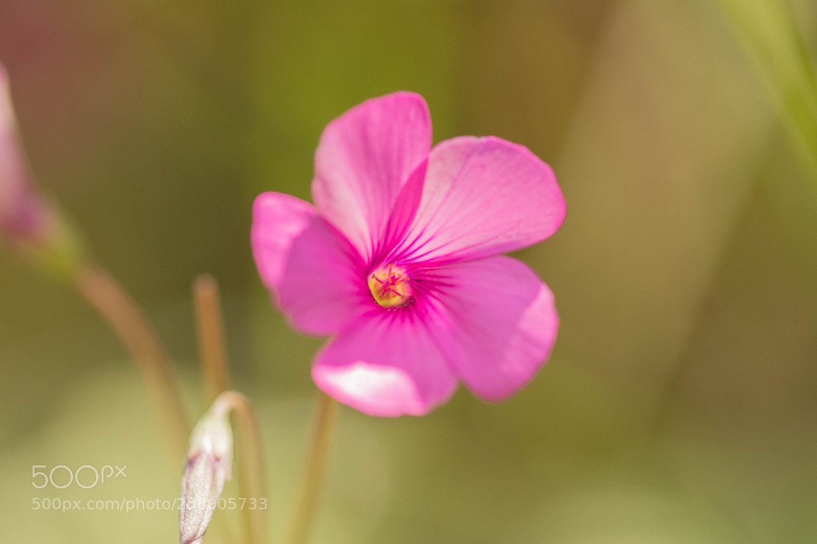 Canon EOS 80D sample photo. Untitled photography