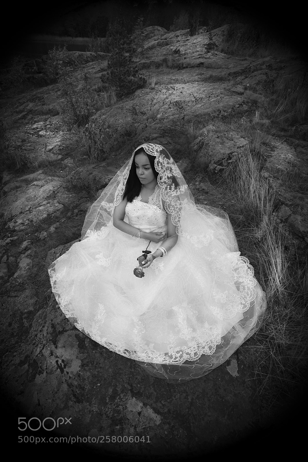 Nikon D750 sample photo. Bride photography