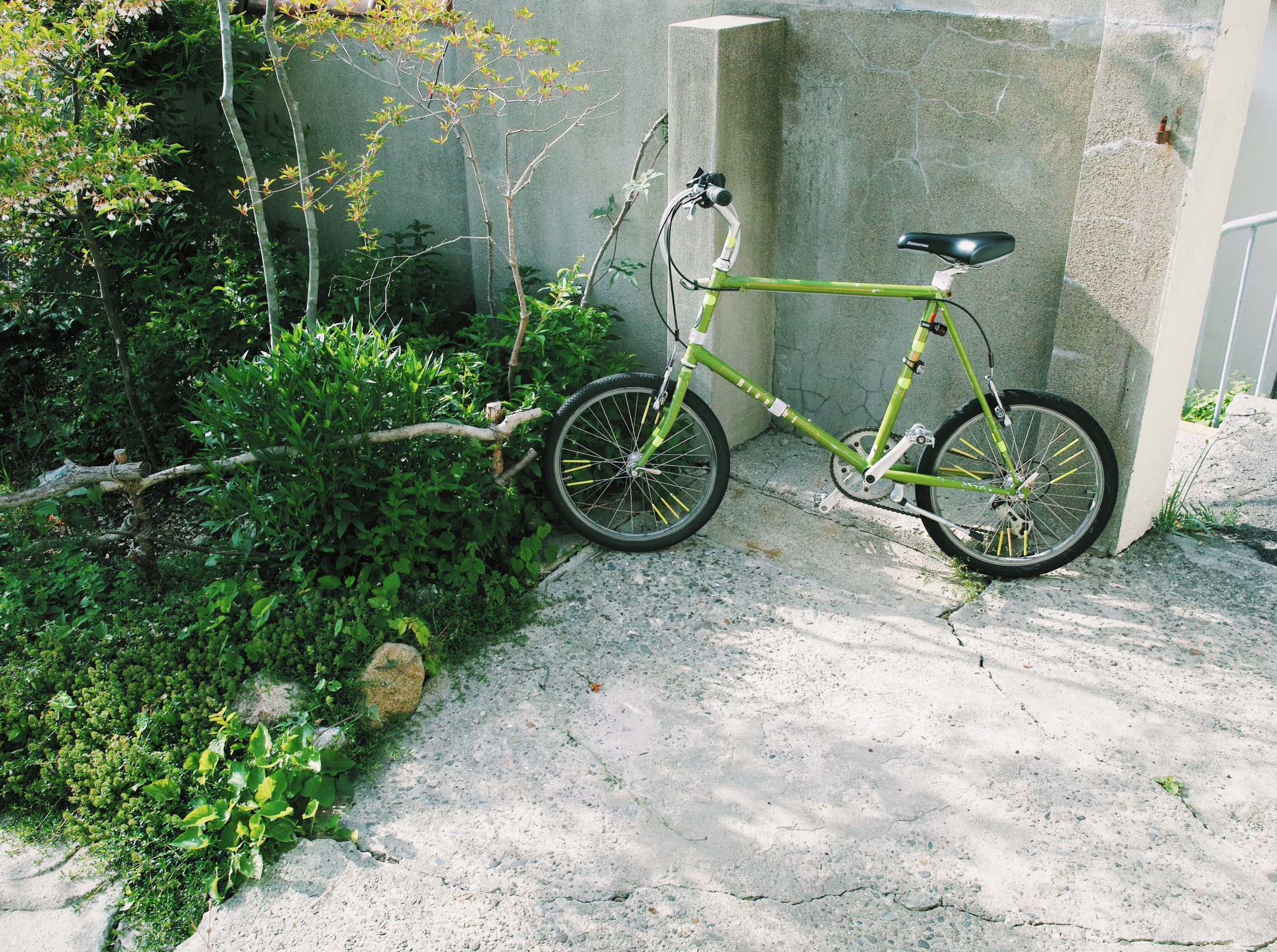 Sigma DP1 Merrill sample photo