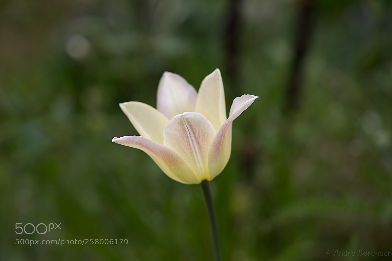Canon EOS 6D sample photo. Catch a light photography