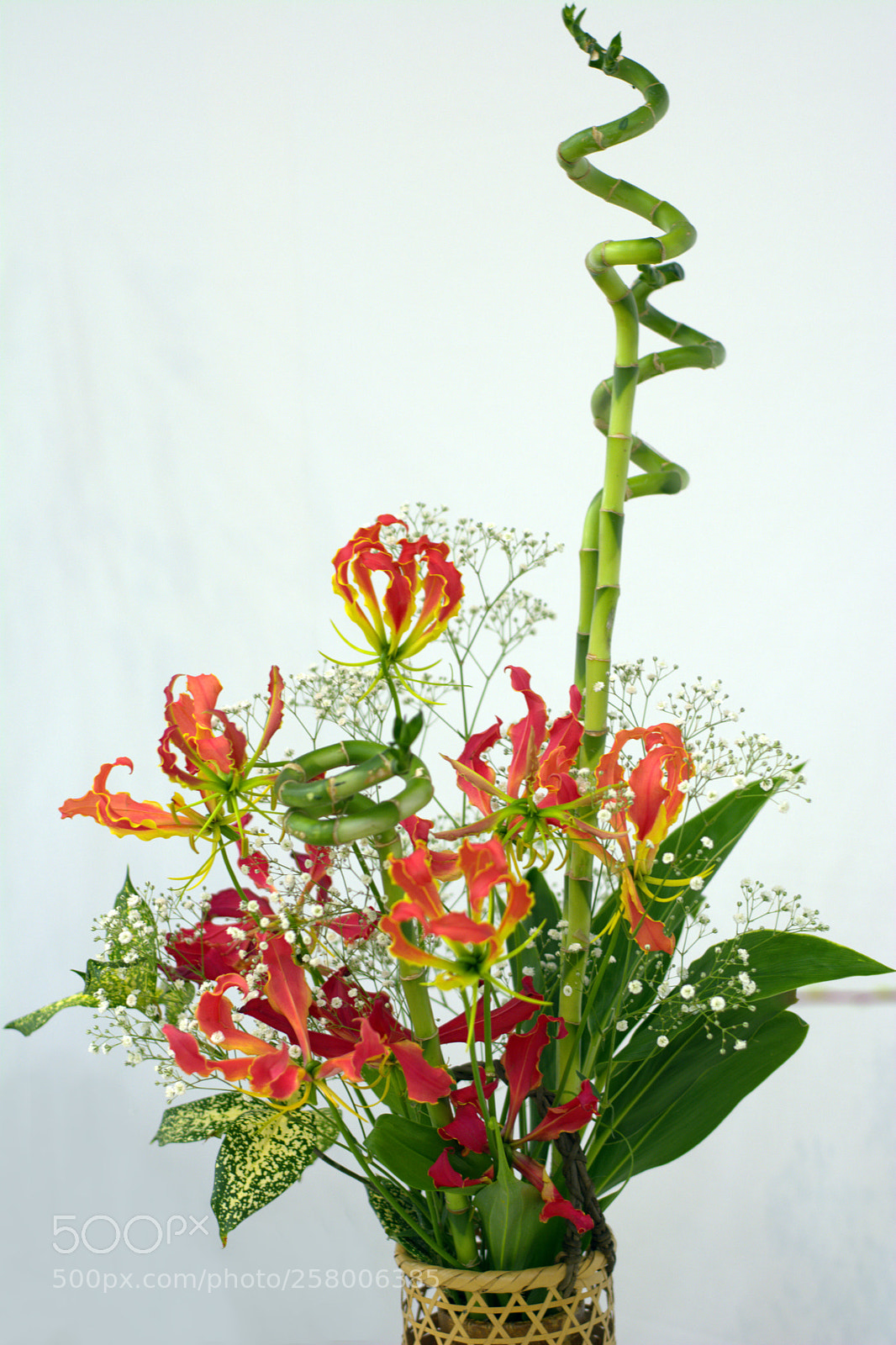 Nikon D7100 sample photo. Ikebana photography