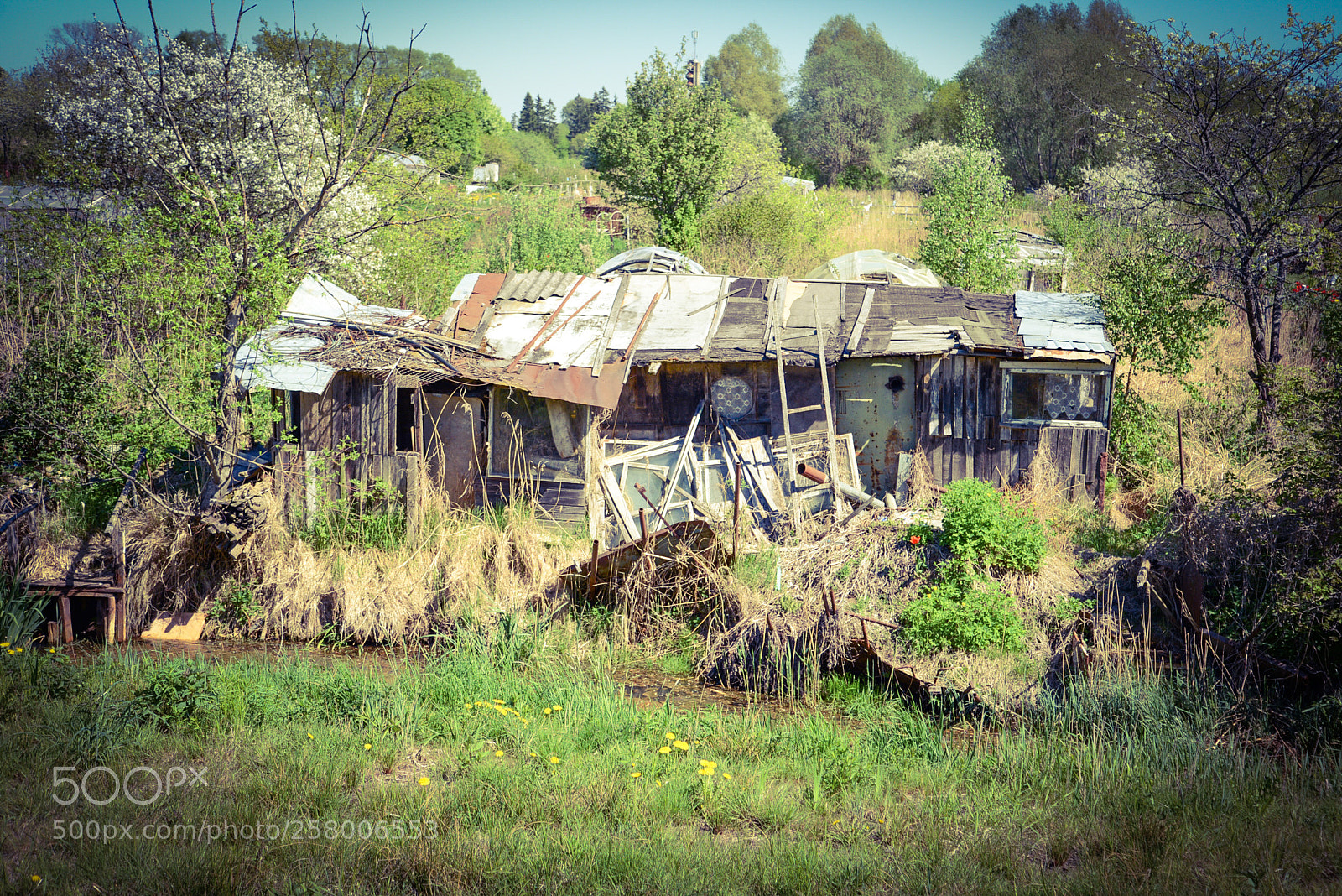 Nikon D600 sample photo. Untitled photography