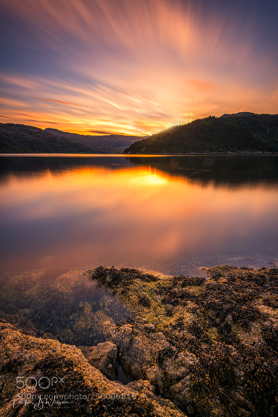 Nikon D810 sample photo. Evening light photography