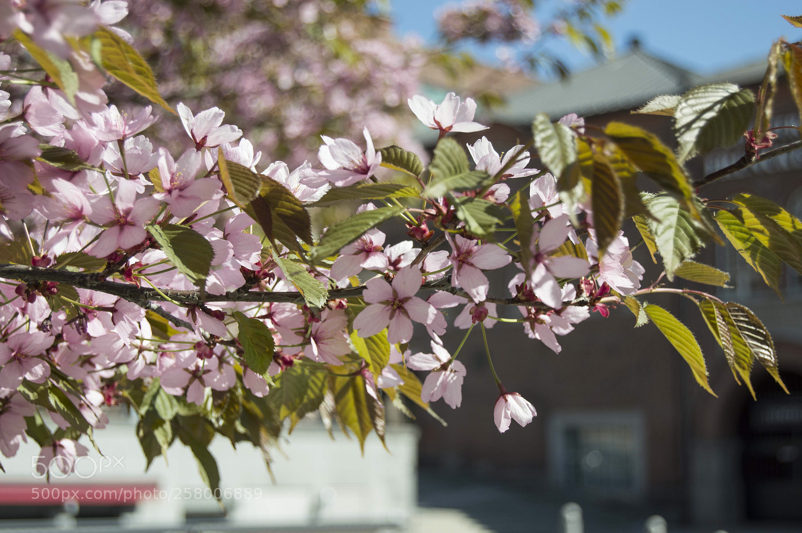 Nikon D3200 sample photo. Untitled photography