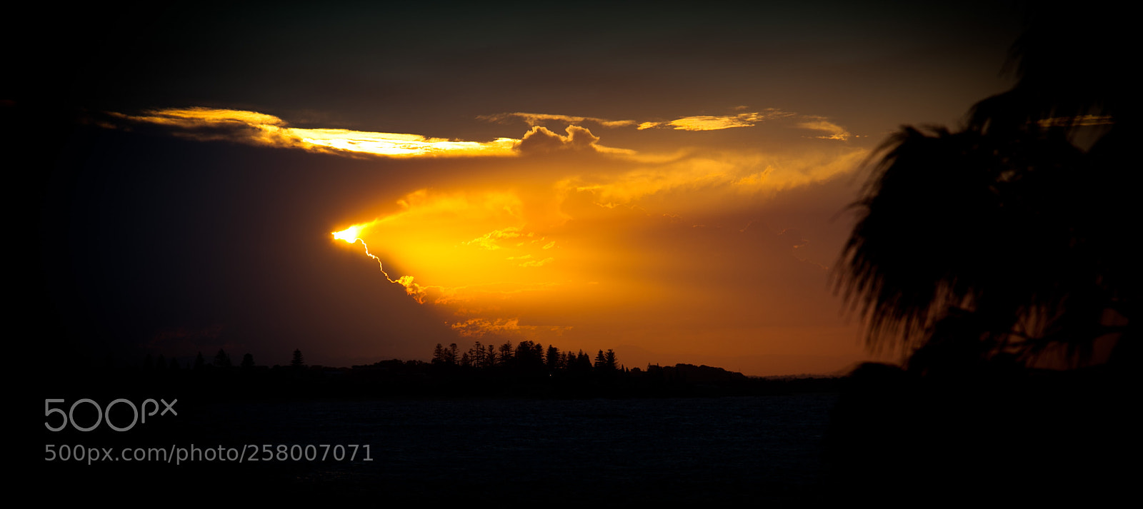 Canon EOS 5D Mark II sample photo. Untitled photography